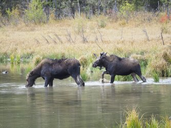 September 29 - 61 of 88_Original.jpeg September 29 - 61 of 88_Original.jpeg