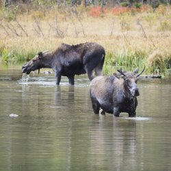 September 29 - 66 of 88_Original.jpeg September 29 - 66 of 88_Original.jpeg