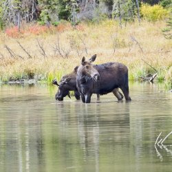 September 29 - 68 of 88_Original.jpeg September 29 - 68 of 88_Original.jpeg