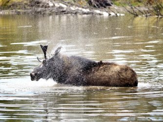 September 29 - 78 of 88_Original.jpeg September 29 - 78 of 88_Original.jpeg