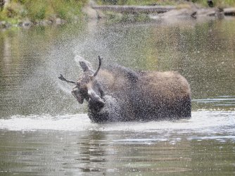 September 29 - 84 of 88_Original.jpeg September 29 - 84 of 88_Original.jpeg