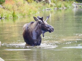 September 29 - 86 of 88_Original.jpeg September 29 - 86 of 88_Original.jpeg