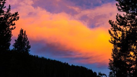 2E84BEFD-5541-4C7F-BC0F-CA93105BB0F5.jpeg