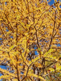 _1330781-copy-2.jpg