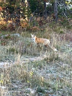 IMG_0330_Original.jpeg IMG_0330_Original.jpeg