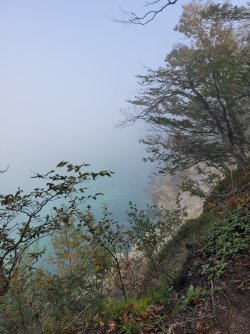 20250914_145149.jpg