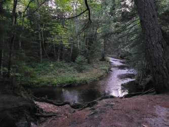 20250914_201349.jpg