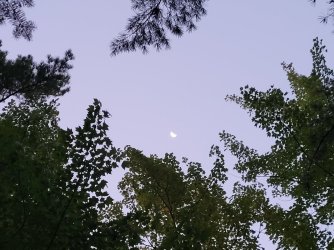 20250915_070647.jpg