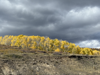 Screenshot 2025-10-12 at 11.33.50 PM.png