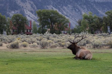 0O7A8893.JPG 0O7A8893.JPG