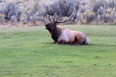 0O7A8905.JPG 0O7A8905.JPG