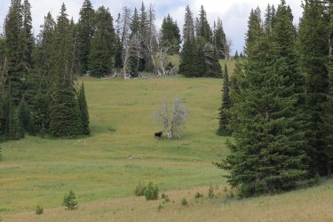 0O7A7550.JPG 0O7A7550.JPG