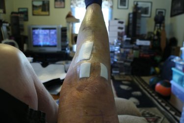 Leg_04.jpg