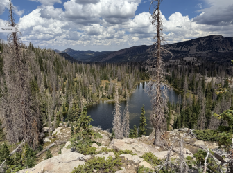 Screenshot 2025-10-14 at 20.24.54.png