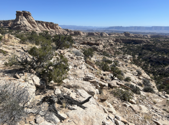 Screenshot 2025-10-16 at 08.27.06.png