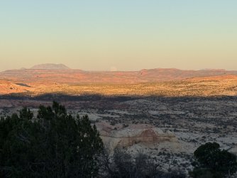 IMG_7781.jpeg IMG_7781.jpeg