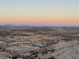 IMG_7806.jpeg IMG_7806.jpeg