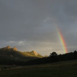 IMG_0458_Original.jpeg