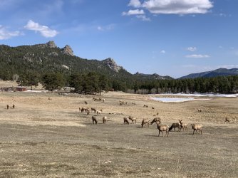 IMG_0950.jpeg