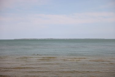 0O7A8919.JPG
