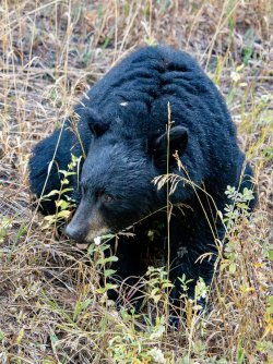 October 4 2025 - 2 of 38_Original.jpeg October 4 2025 - 2 of 38_Original.jpeg