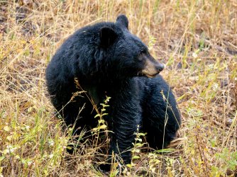 October 4 2025 - 3 of 38_Original.jpeg October 4 2025 - 3 of 38_Original.jpeg