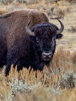 IMG_6847.jpeg IMG_6847.jpeg