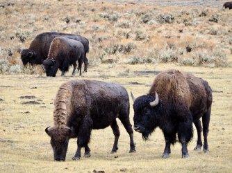 October 4 2025 - 27 of 38_Original.jpeg October 4 2025 - 27 of 38_Original.jpeg