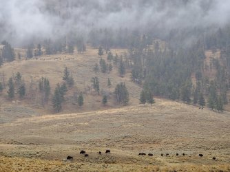 October 4 2025 - 9 of 38_Original.jpeg October 4 2025 - 9 of 38_Original.jpeg