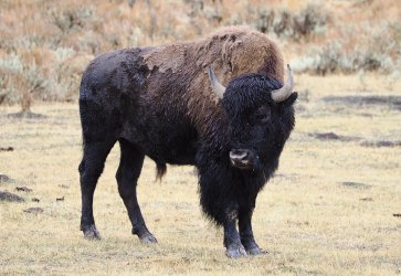 October 4 2025 - 23 of 38_Original.jpeg October 4 2025 - 23 of 38_Original.jpeg