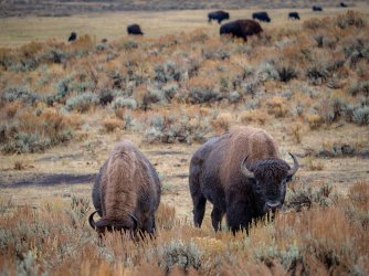 October 4 2025 - 12 of 38_Original.jpeg October 4 2025 - 12 of 38_Original.jpeg