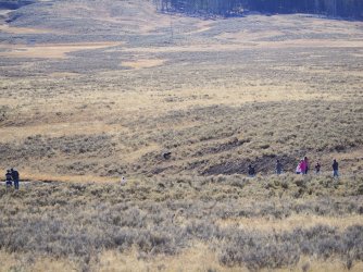 October 6, 2025 - 58 of 73_Original.jpeg October 6, 2025 - 58 of 73_Original.jpeg