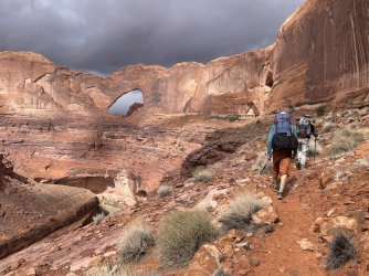 IMG_7312.JPG IMG_7312.JPG