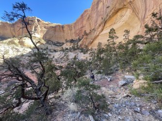 IMG_7384.JPG IMG_7384.JPG