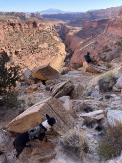 IMG_7391.JPG IMG_7391.JPG