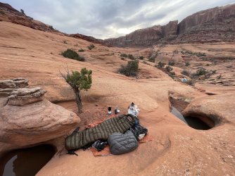 IMG_7410.JPG IMG_7410.JPG