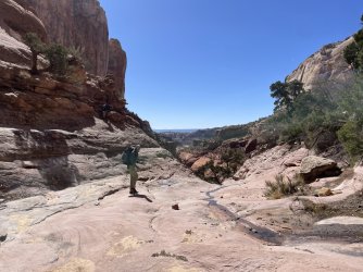 IMG_7385.JPG IMG_7385.JPG