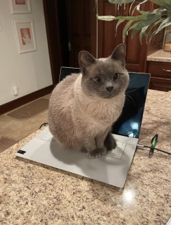 thumbnail_IMG_0435.jpg