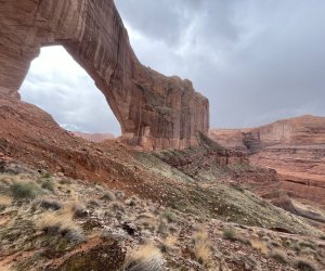 IMG_7321.jpeg IMG_7321.jpeg