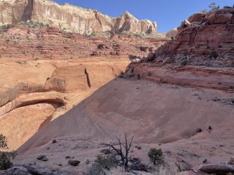 IMG_7400.jpeg IMG_7400.jpeg