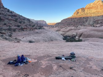 IMG_7368.jpeg IMG_7368.jpeg