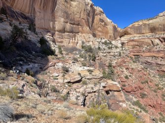 IMG_7388.jpeg IMG_7388.jpeg