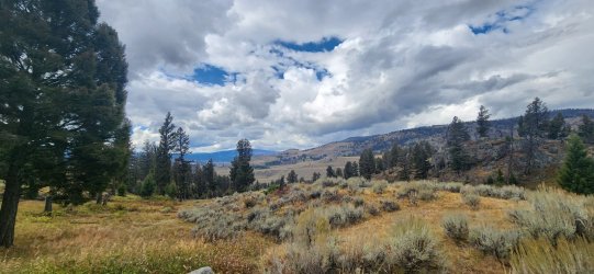 20250915_122616.jpg 20250915_122616.jpg