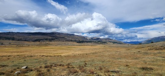 20250915_143433.jpg 20250915_143433.jpg