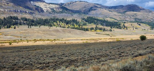 20250915_143955.jpg 20250915_143955.jpg