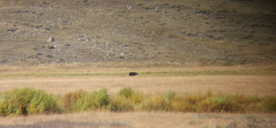 20250915_145903(0).jpg 20250915_145903(0).jpg