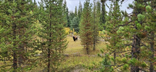 20250916_151719.jpg 20250916_151719.jpg