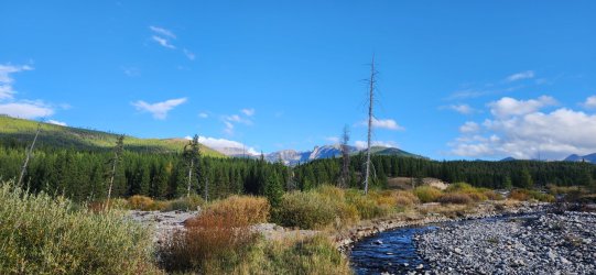 20250917_085232.jpg 20250917_085232.jpg