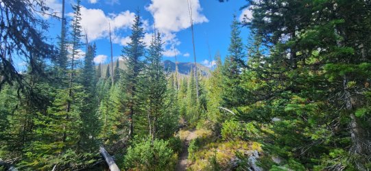 20250917_105954.jpg 20250917_105954.jpg