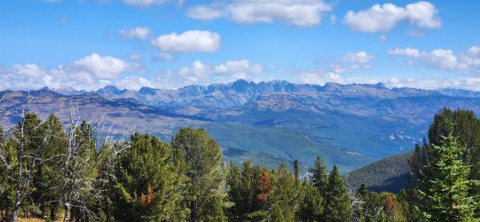 20250917_123739.jpg 20250917_123739.jpg